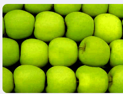 Slice monitors Australia and New Zealand media - Do it yourself and cut straight to your news!